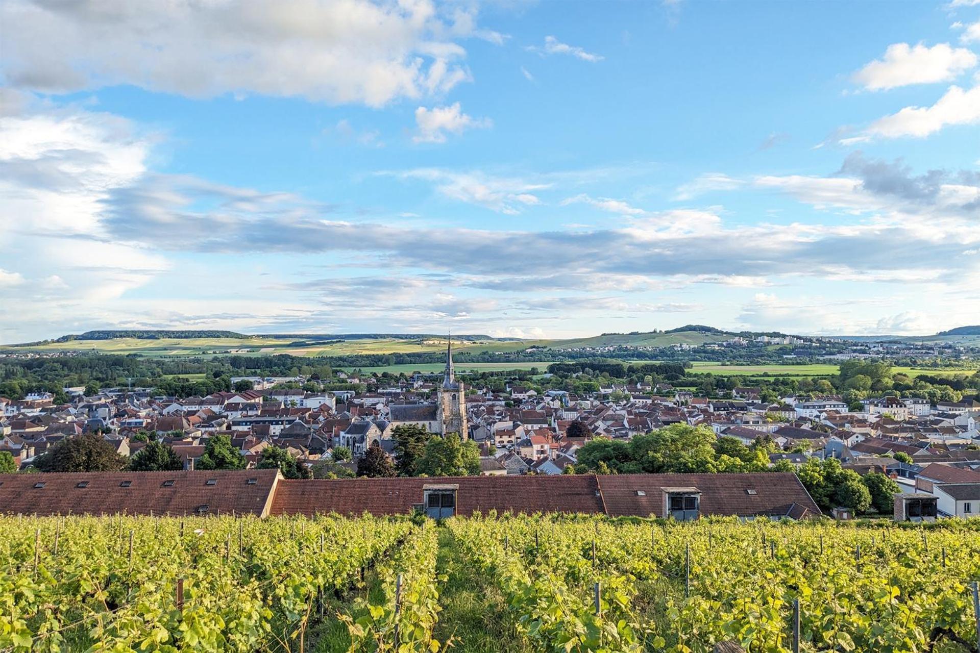 Maison A Deux Mains Ay-Champagne Luaran gambar
